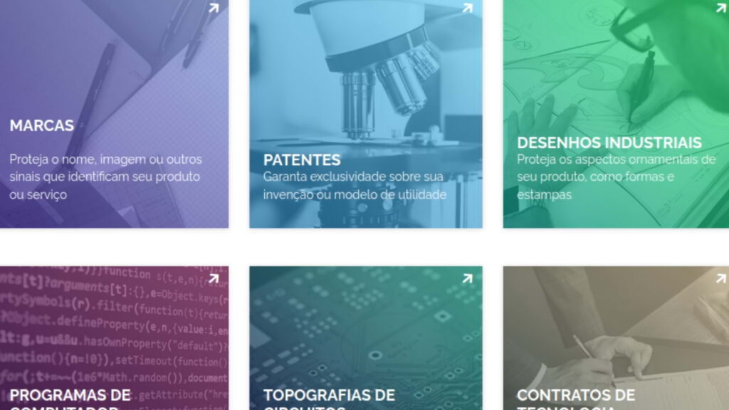 Tipos de registro no INPI incluindo marcas, patentes e desenhos industriais exibidos em interface oficial